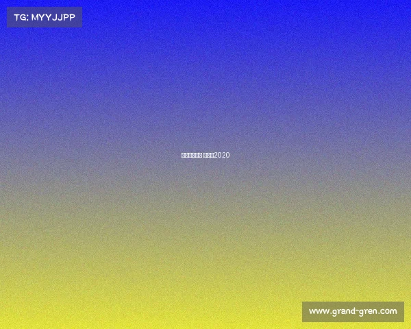 梦幻西游视频 总决赛2020